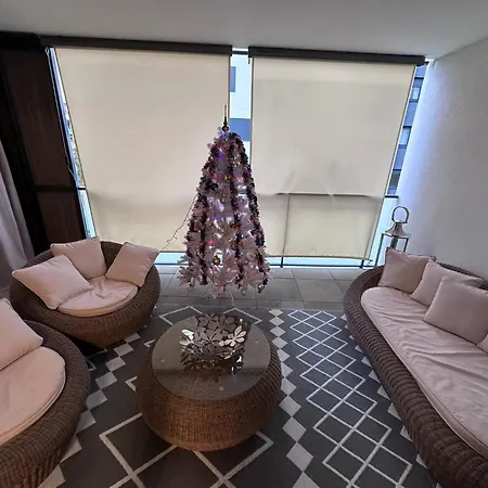 Apartment Grande Terrasse Parking Prive Strasbourg